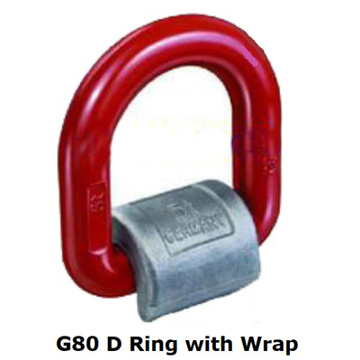 L'acier au carbone a forgé la soudure de D Ring Power Coated G80 dans des clips D avec l'enveloppe